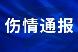 西雅图风暴vs洛杉矶火花_西雅图风暴vs洛杉矶火花全场次直播_西雅图风暴vs洛杉矶火花所有比赛免费看