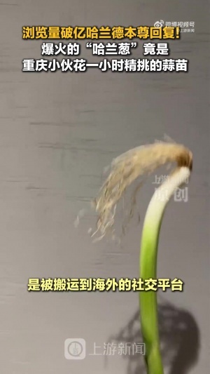 实时湖人vs独行侠在线观看_实时湖人vs独行侠在线观看全场次直播_实时湖人vs独行侠在线观看所有比赛免费看